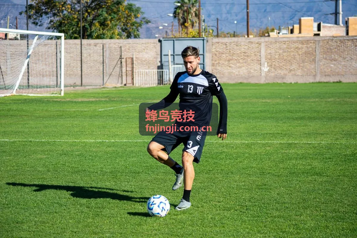 蜂鸟竞技辅助视野攻略封面